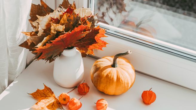 Monthly Review: Almost 4 000 Investors Choose Hive5