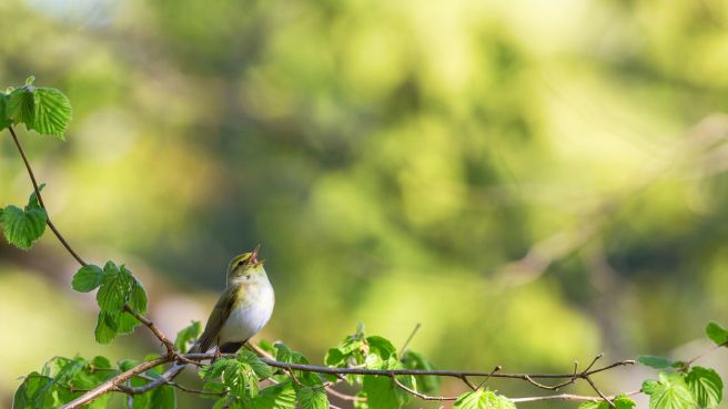 Hive5 monthly review: 48% Increase in Originated Loans