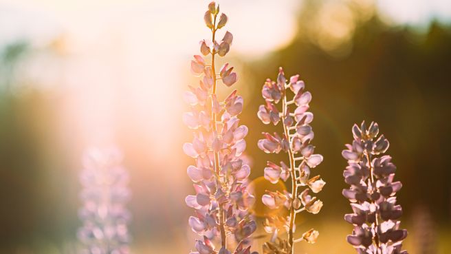 2024 May Monthly Review: Navigating Market Dynamics and Future Expansion