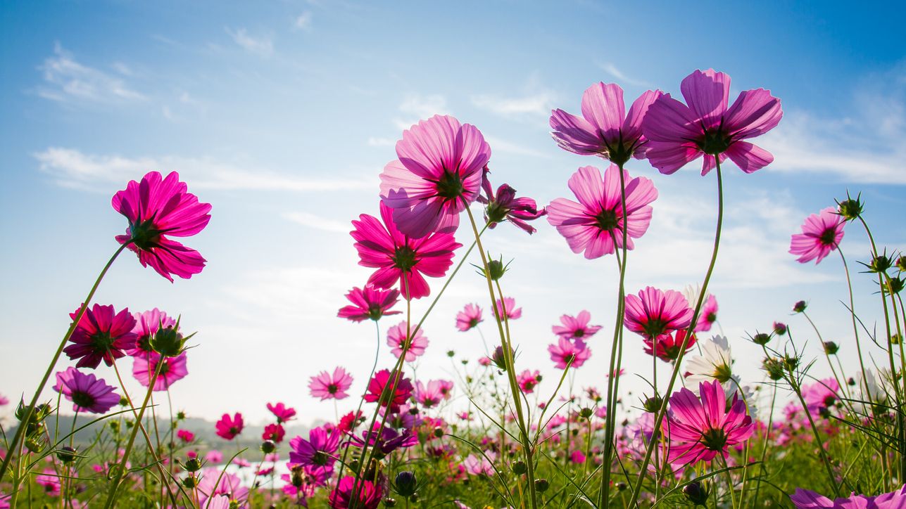 2024 July Monthly Review: More Than 53 M Eur Loans Funded Since Inception