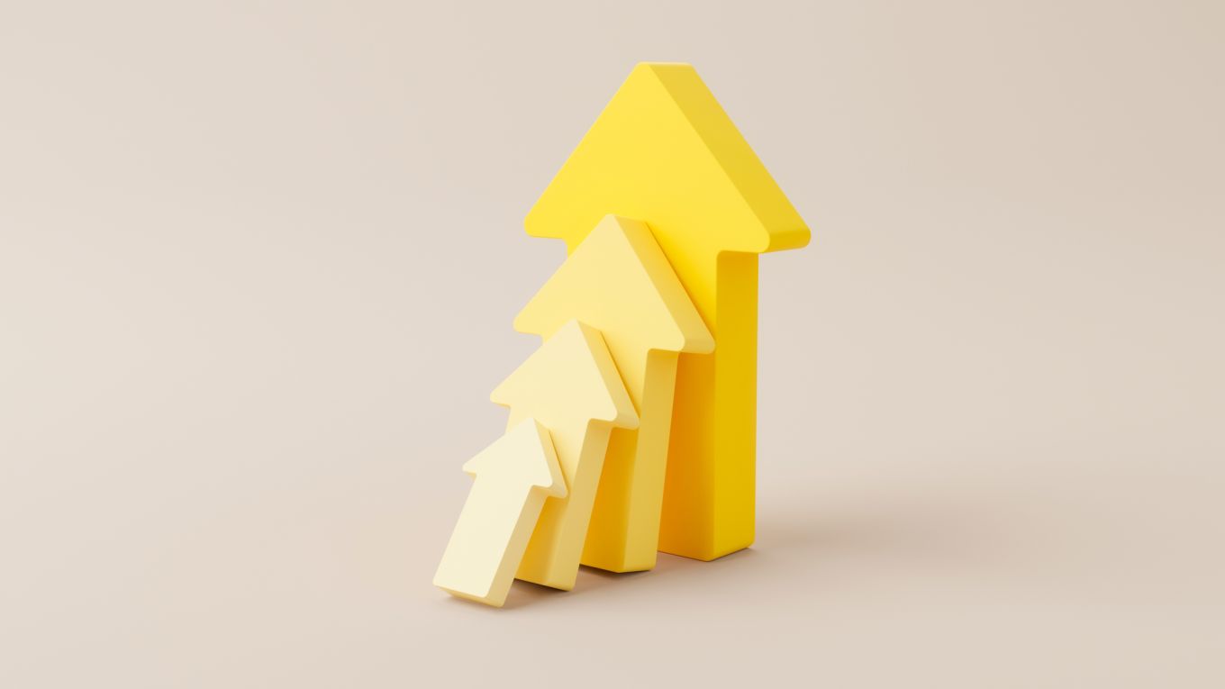 Hive Finance: Rapid Success Through Focused Strategy and Passionate Leadership