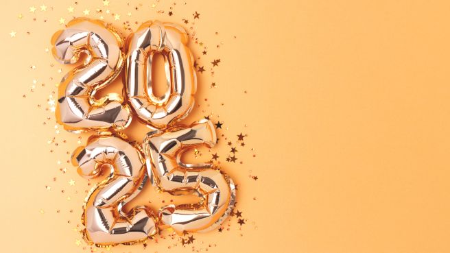 2024: A Year of Achievements, Challenges, and Future Plans for Hive5