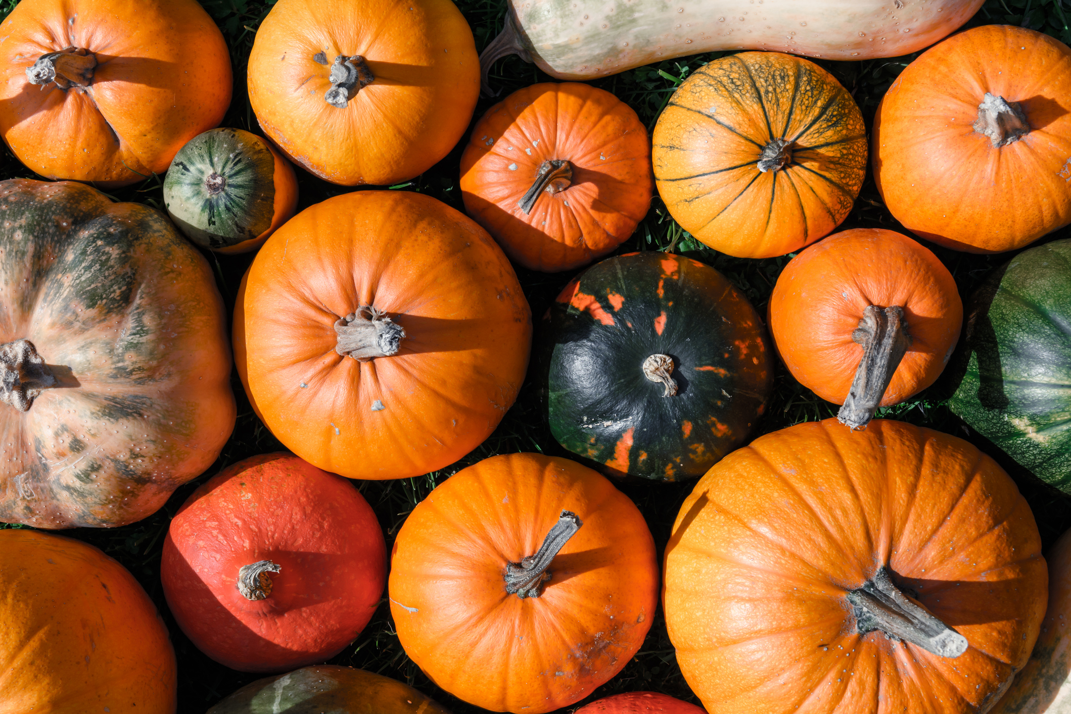 2024 October Monthly Review: Reaching a Community of Over 15k Investors
